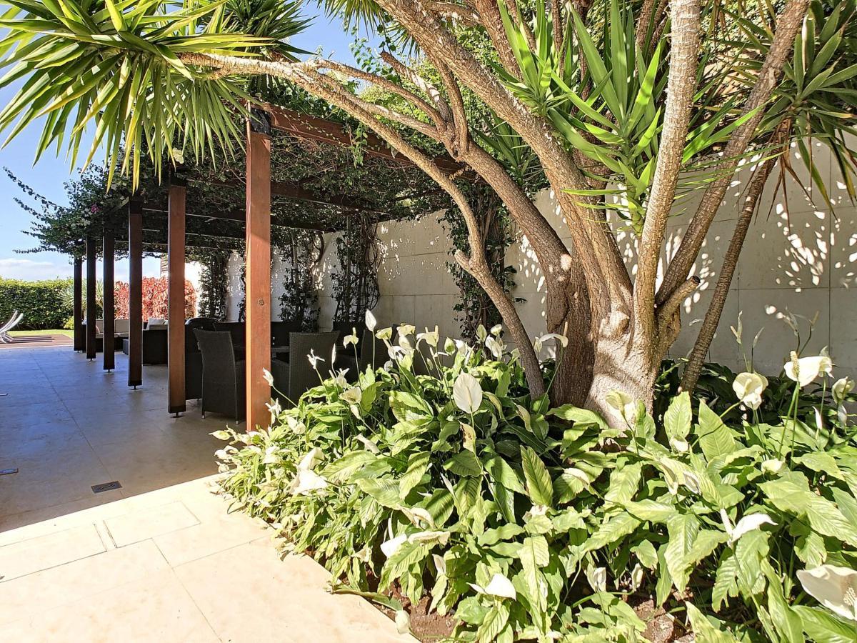 Villa Vitoria - By Lovelystay فونشال المظهر الخارجي الصورة